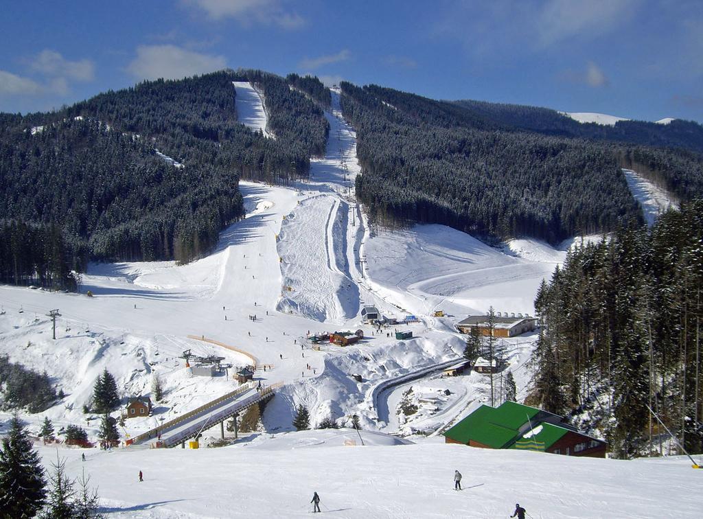 Villa Loiza Bukovel Exterior photo
